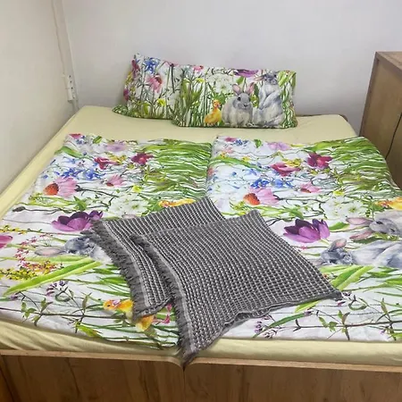 Aparmanovy V Centre Banskej Bystrice & Free Parking Банска-Бистрица